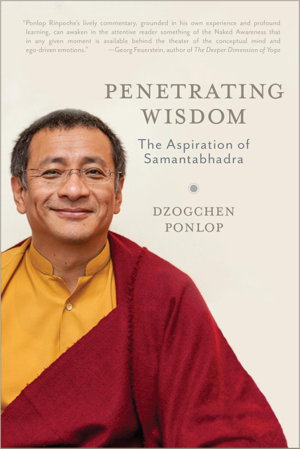 Cover art for Penetrating Wisdom