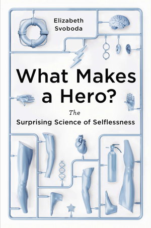 Cover art for What Makes a Hero?