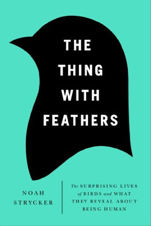 Cover art for Thing with Feathers The Surprising Lives of Birds and What They Reveal about Being Human