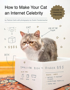 Cover art for How To Make Your Cat An Internet Celebrity