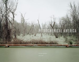 Cover art for Petrochemical America