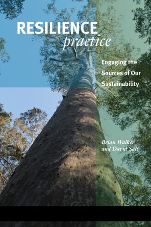 Cover art for Resilience Practice