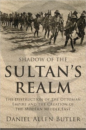 Cover art for Shadow of the Sultan's Realm