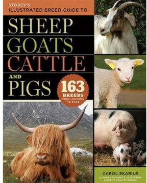 Cover art for Storey's Illustrated Breed Guide to Sheep, Goats, Cattle and Pigs