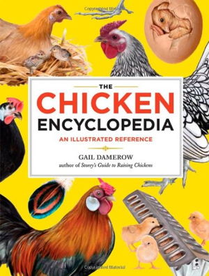 Cover art for The Chicken Encyclopedia