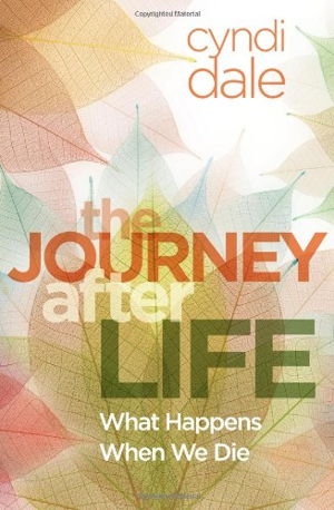 Cover art for The Journey After Life