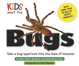 Cover art for Kids Meet the Bugs