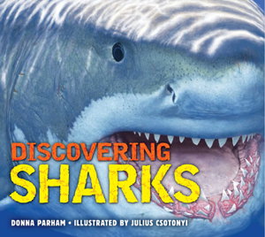 Cover art for Discovering Sharks