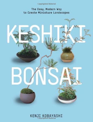Cover art for Keshiki Bonsai