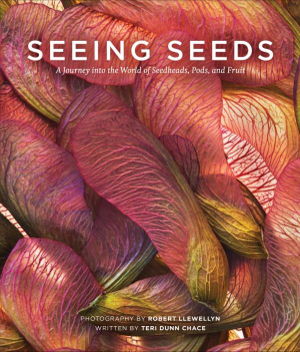 Cover art for Seeing Seeds