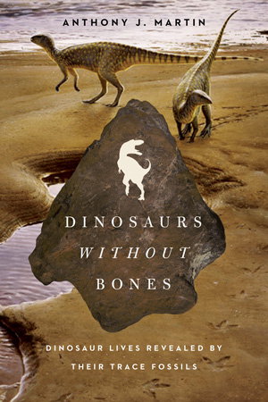 Cover art for Dinosaurs Without Bones Dinosaur Lives Revealed By Their Trace Fossils