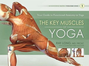 Cover art for Key Muscles of Yoga Your Guide to Functional Anatomy in Yoga