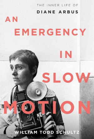 Cover art for An Emergency in Slow Motion