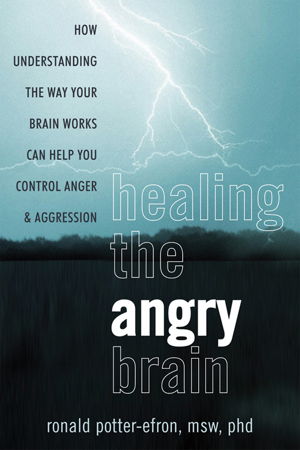 Cover art for Healing the Angry Brain