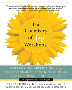 Cover art for Chemistry of Joy Workbook