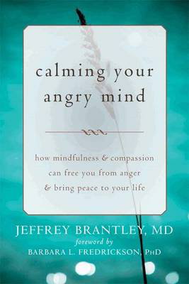 Cover art for Calming Your Angry Mind