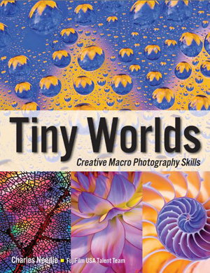 Cover art for Tiny Worlds