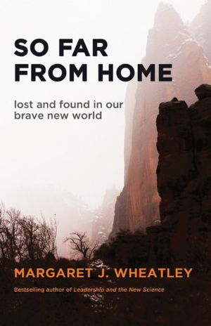 Cover art for So Far from Home Lost and Found in Our Brave New World