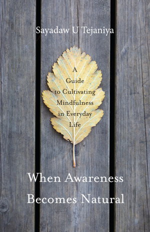 Cover art for When Awareness Becomes Natural