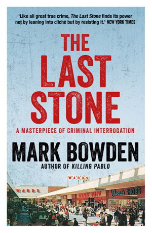 Cover art for The Last Stone