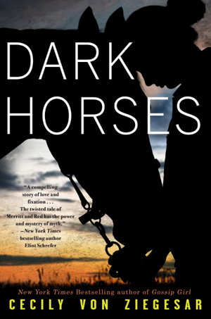 Cover art for Dark Horses