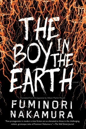 Cover art for The Boy In The Earth