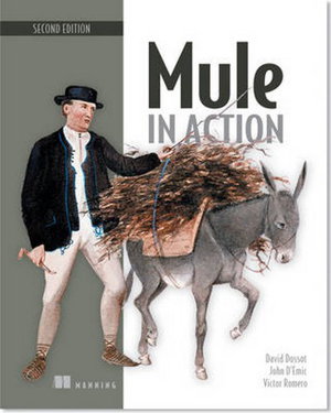 Cover art for Mule in Action