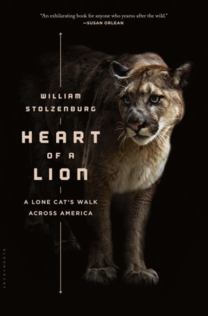 Cover art for Heart of a Lion