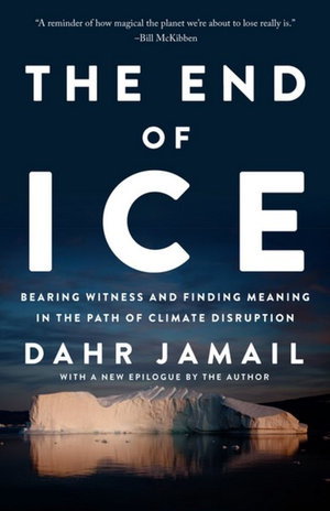 Cover art for The End Of Ice