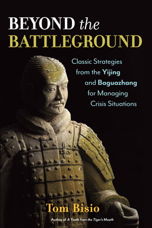 Cover art for Beyond The Battleground
