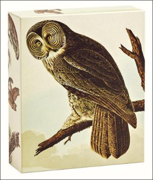 Cover art for Audubon Owls QuickNotes