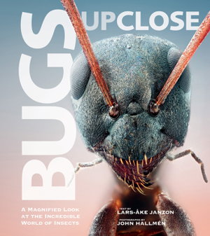 Cover art for Bugs Up Close