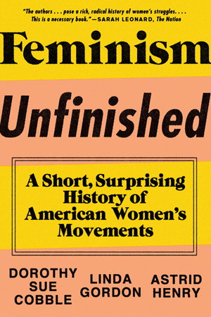 Cover art for Feminism Unfinished a Short Surprising History of American Womens Movements