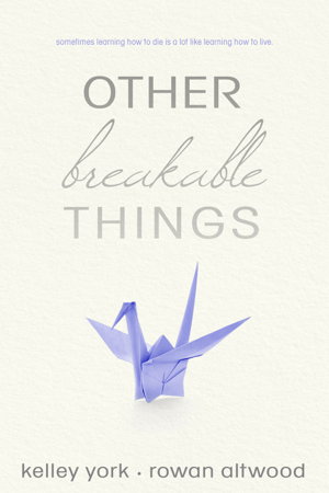 Cover art for Other Breakable Things