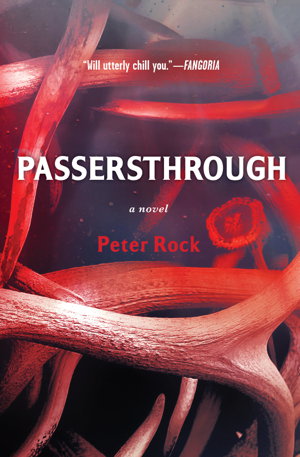Cover art for Passersthrough
