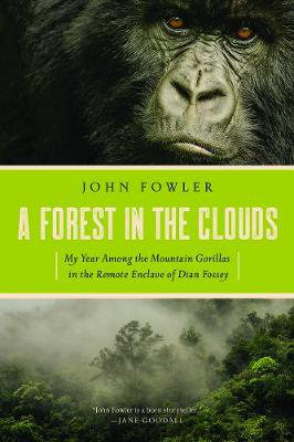 Cover art for A Forest in the Clouds
