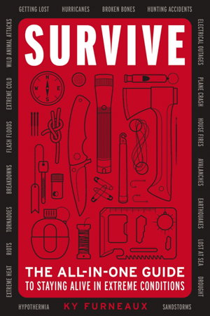 Cover art for Survive