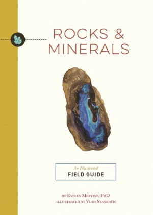 Cover art for Rocks & Minerals An Illustrated Field Guide