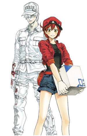 Cover art for Cells at Work! Complete Manga Box Set!
