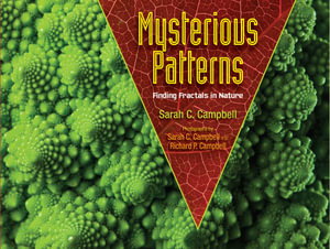 Cover art for Mysterious Patterns