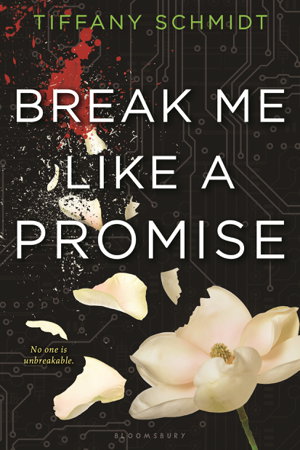 Cover art for Break Me Like a Promise