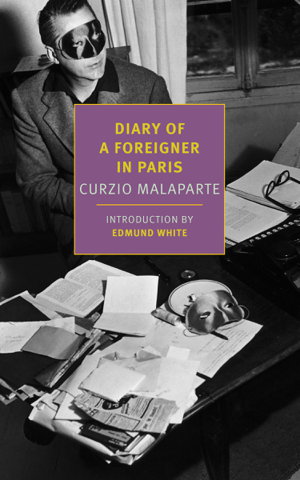 Cover art for Diary of a Foreigner in Paris