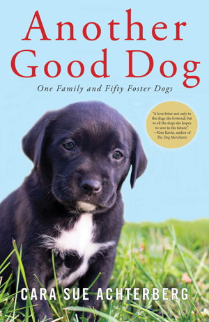 Cover art for Another Good Dog