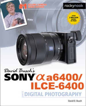 Cover art for David Busch's Sony A6400/ILCE-6400 Guide to Digital Photography