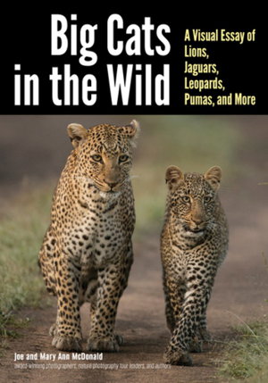 Cover art for Big Cats in the Wild