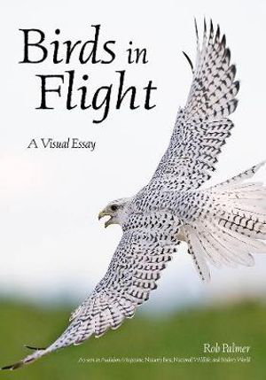 Cover art for Birds In Flight