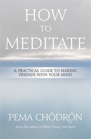 Cover art for How to Meditate