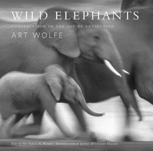 Cover art for Wild Elephants