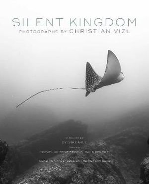 Cover art for Silent Kingdom