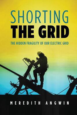 Cover art for Shorting the Grid